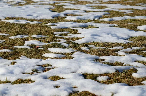 Fechar Derretendo Fundo Neve — Fotografia de Stock