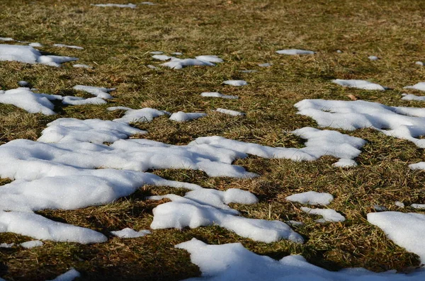 Fechar Derretendo Fundo Neve — Fotografia de Stock