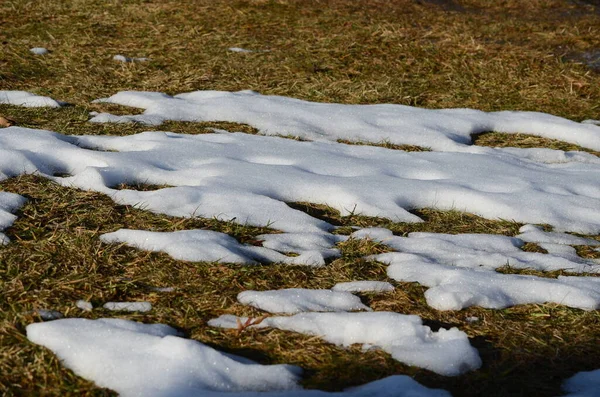 Closeup Melting Snow Background — Stock Photo, Image