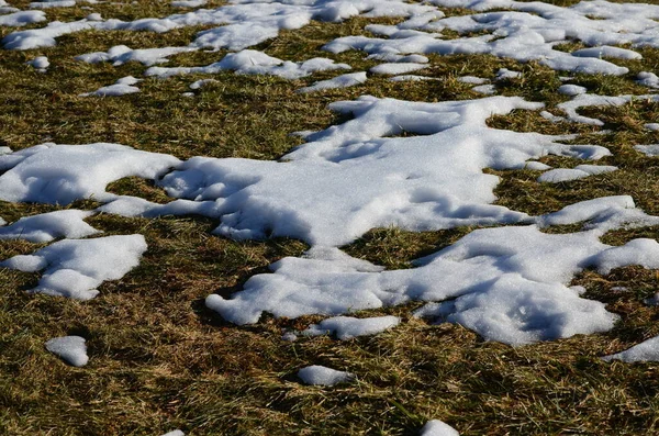 Fechar Derretendo Fundo Neve — Fotografia de Stock