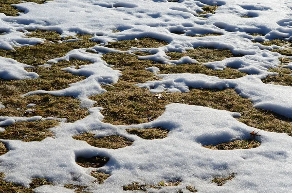 Close Smeltende Sneeuw Achtergrond — Stockfoto