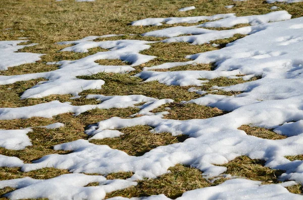 Fechar Derretendo Fundo Neve — Fotografia de Stock