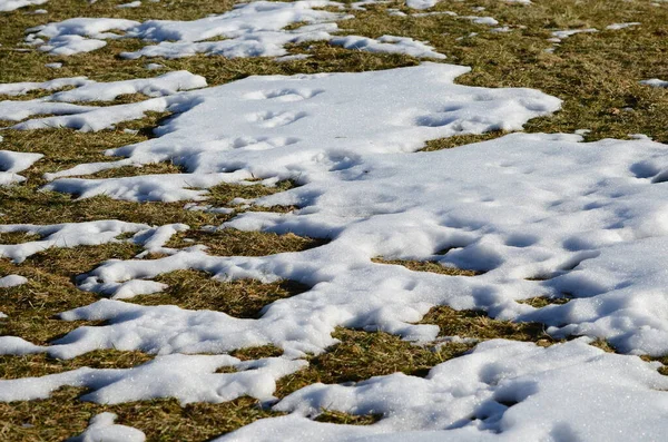 Крупный План Таяния Снега Фон — стоковое фото