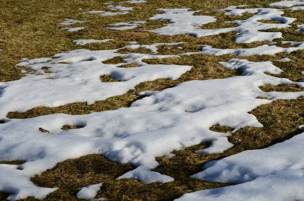 Fechar Derretendo Fundo Neve — Fotografia de Stock