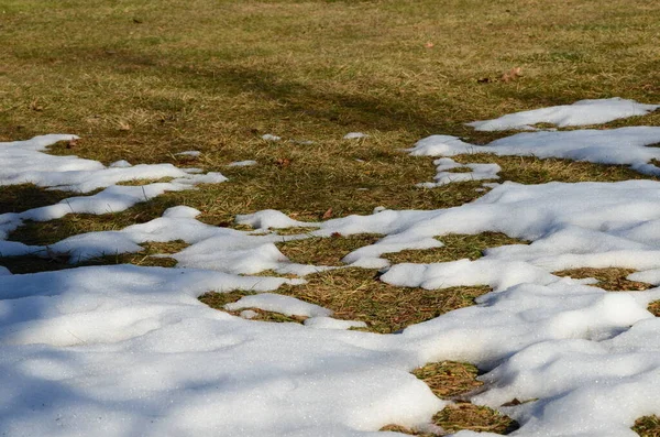 Close Smeltende Sneeuw Achtergrond — Stockfoto