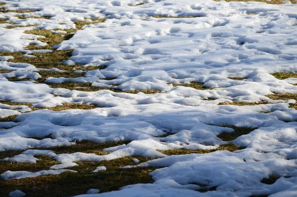 Close Smeltende Sneeuw Achtergrond — Stockfoto