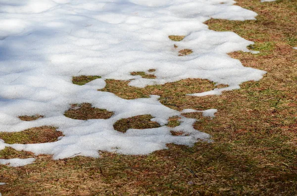 Fechar Derretendo Fundo Neve — Fotografia de Stock