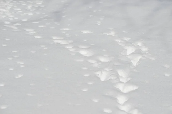 Closeup Snow Texture Background — Stock Photo, Image