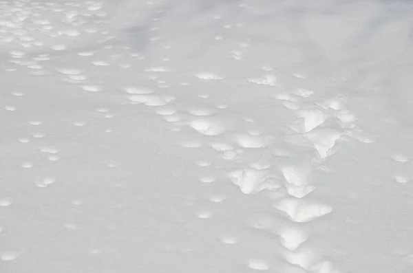 Closeup Fundo Textura Neve — Fotografia de Stock