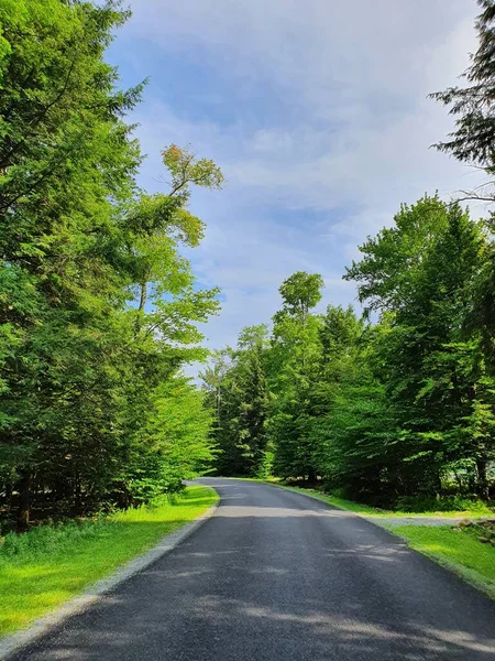 Strada Avvicinamento Nella Foresta — Foto Stock