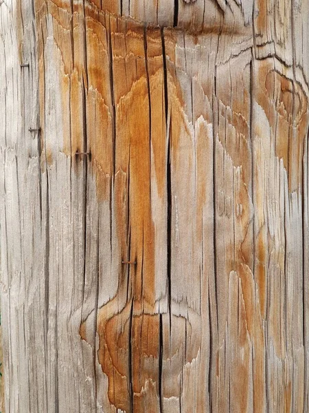 Close Wood Texture Background — Stock Photo, Image