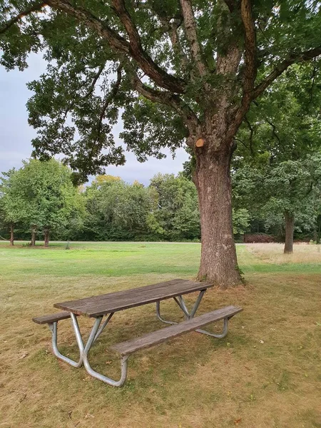 Closeup Table Dans Parc — Photo