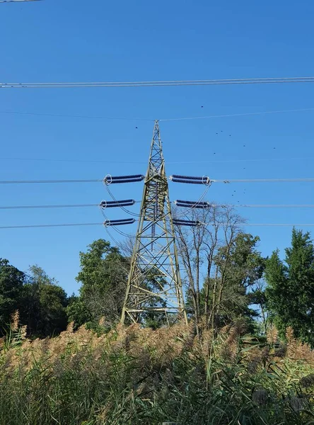 Close Electricity Power Line — Stock Photo, Image
