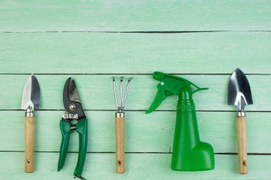 Ahşap zemin üzerinde çiçekler ve bahçe araçları ile kompozisyon metin için yer ile.