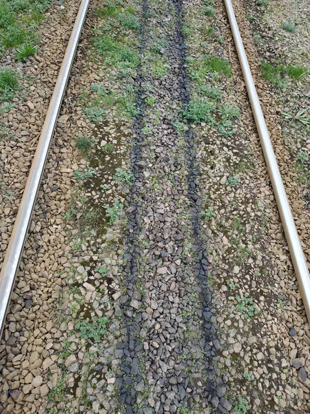 Rails Distance Crushed Stone Grass Rails —  Fotos de Stock