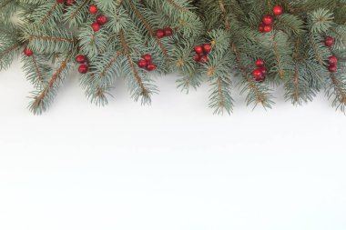 Beyaz arka planda köknar dalları ve viburnum böğürtlenlerinin Noel kompozisyonu izole