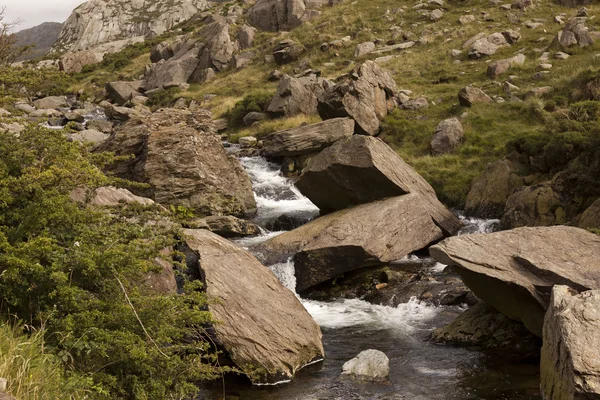 El arroyo de montaña —  Fotos de Stock
