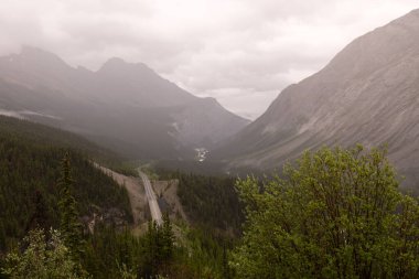 The scenic Icefields Parkway Highway on a foggy morning in Banff National Park, Alberta Canada.