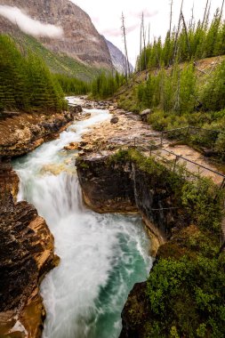 A stream through the mountains flow into a dramatic waterfall at Marble Canyon in Kootenay National Park, Canada.