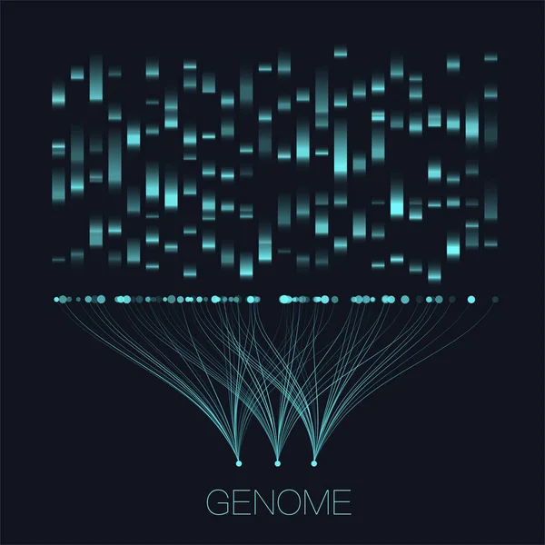 Grote Genomische Data Visualisatie Dna Test Genoomkaart Grafisch Concept Voor — Stockvector