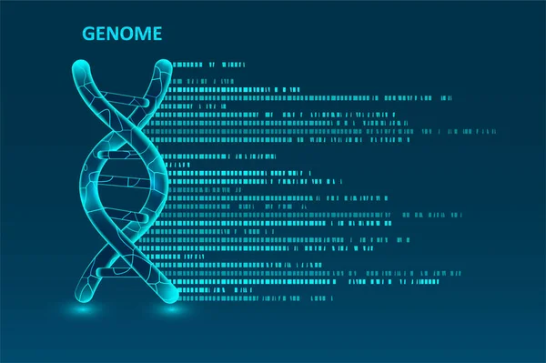 Visualizzazione Grandi Dati Genomici Test Del Dna Mappa Genomica Concetto — Vettoriale Stock