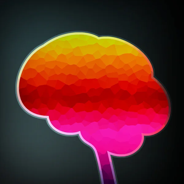 Estructura colorida en forma de cerebro — Vector de stock