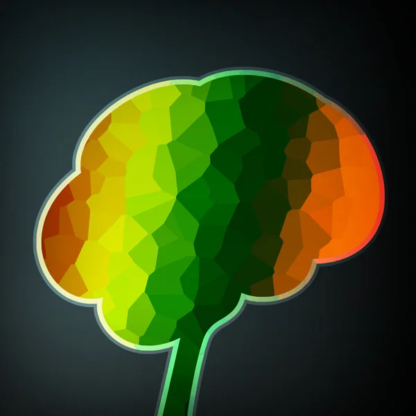 Estructura colorida en forma de cerebro — Vector de stock