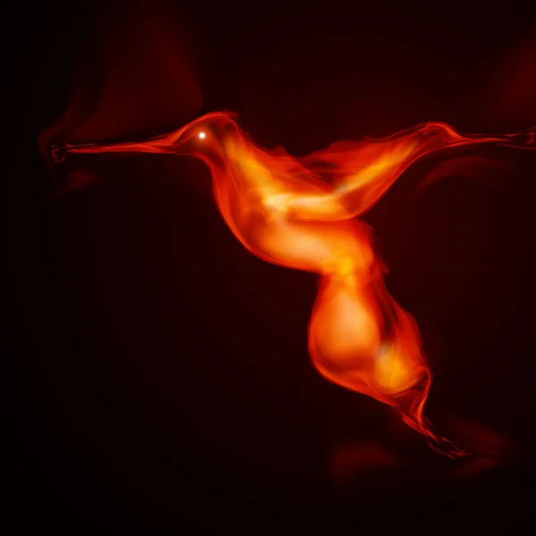 Brennender Feuervogel — Stockvektor