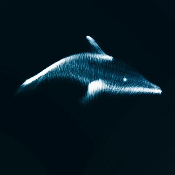 ネオンのイルカは、抽象的な未来の芸術 — ストックベクタ