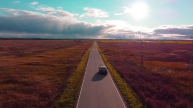 Araba gezintileri yol manzaralı. Drone 'un videosu. Paved yolu tarlada. Yolculuk. Havadaki video. İnsansız hava aracının videosu.