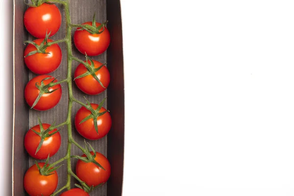 樱桃番茄分枝被白色背景隔离 红色西红柿 番茄在树枝上 孤立的背景 关于蔬菜的文章 复制空间 蔬菜工作室照片 — 图库照片