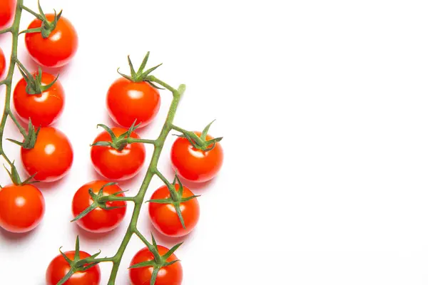 토마토가 배경에 분리되어 토마토 토마토가 있습니다 채소에 Studio Photo Vegetables — 스톡 사진