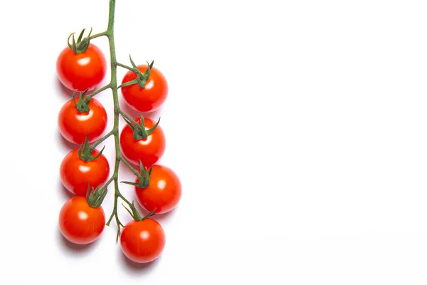 Cherry Tomatoes Branch Isolated White Background Red Tomato Tomatoes Branch — Stock Photo, Image