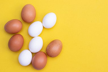 Sarı arka planda tavuk yumurtası. Tavuk yumurtası. Yumurtaların faydaları ve zararları hakkında bir makale. Uzayı kopyala Sarı arka plan. Yiyecek ürünleri. Malzeme.