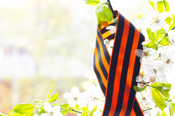 St. George ribbon on the branch . Victory Day. 9th May. 1941-1945 . The Great Patriotic War. Memory tape. Cherry branch. Spring. May. Copy space. Happy Victory Day 