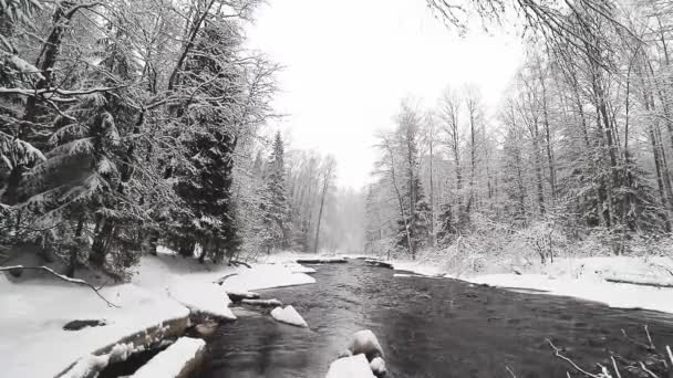 Rivier en sneeuw. Winterlandschap. Sneeuwvlokken vallen in vlokken. — Stockvideo