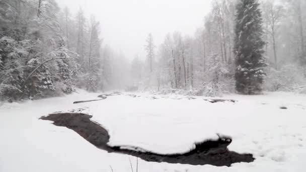 Rivière et chutes de neige. Paysage hivernal. Flocons de neige tombent en flocons. — Video