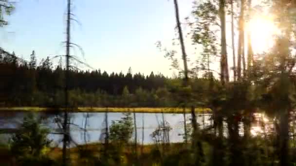 Danau melihat dalam gerak. Malam musim panas. Malam cahaya. Kami melewati danau. Danau di antara pepohonan. — Stok Video