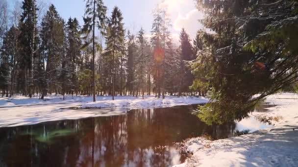 Tavaszi napsütéses táj hó a parkban. Tájkép tóval. Napsütés. — Stock videók