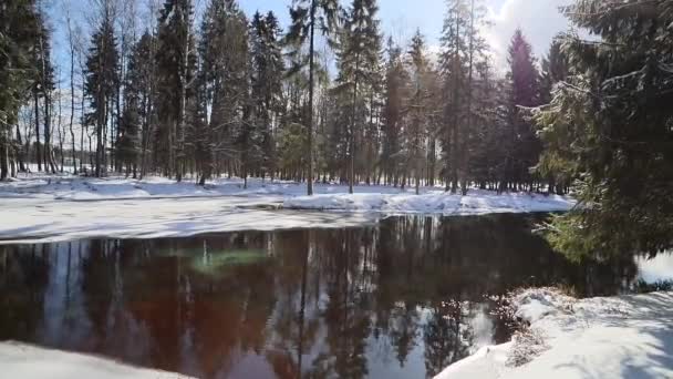 Frühlingssonnige Landschaft mit Schnee im Park. Landschaft mit See. Sonniger Tag. — Stockvideo