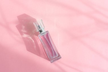 Pembe arka planda bir şişe parfüm. Pembe parfüm. Kokla. Aromaterapi. Parfüm seçimiyle ilgili metin için yeri olan bir makale. Işık ve gölgeler. Doğallık. Boşluğu kopyala