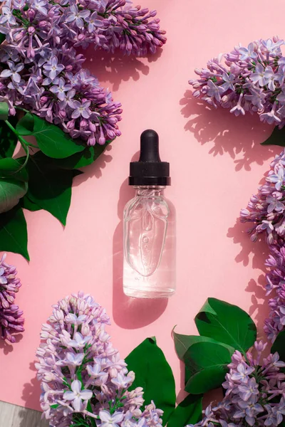 A bottle of perfume and lilac on a pink background . Women\'s perfume. Spring fragrance. Aromatherapy. Nice smell. Beauty and fashion. Article about the choice of fragrance. An article about current flavors . copy space. A branch of lilac. Nature