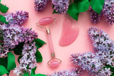 Yüz ve leylak için kuvars silindiri. Pembe arka plan. Cilt bakımı. Sağlıklı yüz masajı. Yüz gerdirme. Kozmetoloji. Spa tedavileri. Boşluğu kopyala