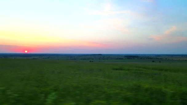 Tramonto estivo nel campo. Luce della sera. Il video è sopra il campo. Video 4K . — Video Stock