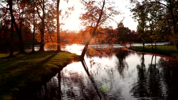 Video parque de otoño en la luz de la mañana. Paisaje de otoño. Luz de la mañana. — Vídeos de Stock