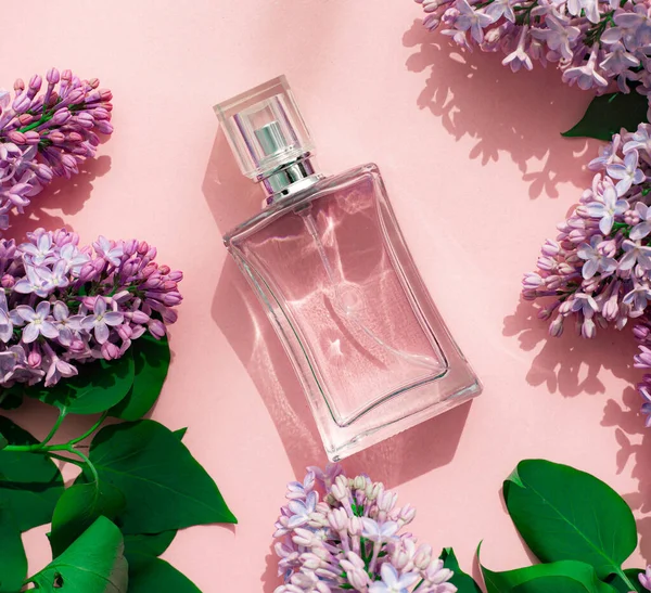 A bottle of perfume and lilac on a pink background . Women\'s perfume. Spring fragrance. Aromatherapy. Nice smell. Beauty and fashion. Article about the choice of fragrance. An article about current flavors . copy space. A branch of lilac. Nature