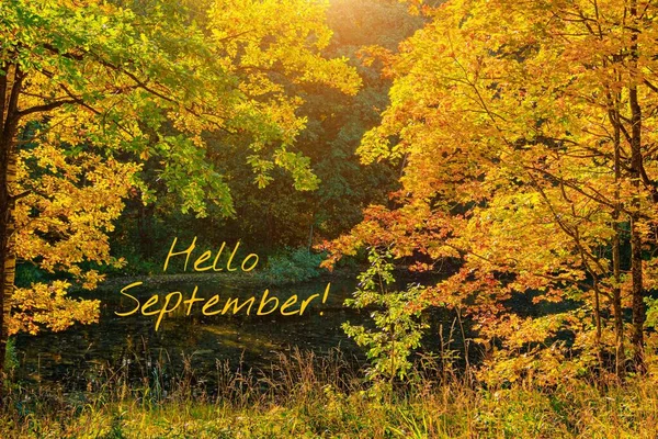 Hello September banner with a landscape . Autumn park landscape. A new season. A greeting card. Landscape with text. Autumn landscape with the text hello autumn.