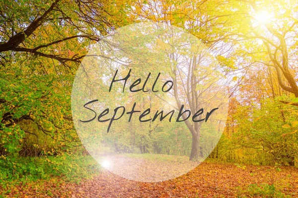 Bannière Bonjour Septembre Avec Paysage Paysage Parc Automne Une Nouvelle — Photo