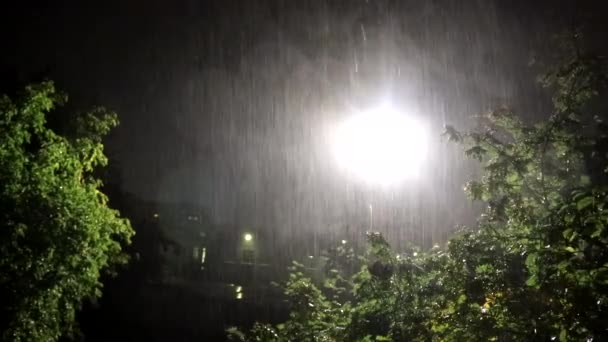 Nagranie błyskawicy i ulewnego deszczu. zła pogoda. Mocny deszcz. Wyładowania pioruna. — Wideo stockowe