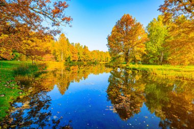 Güz parkı manzaralı bir göl. Sonbahar. Yeni bir sezon. Güzel manzara. Sarı ağaçlar. Yazılı ürünler için fotoğraflar. Sonbahar hakkında bir makale. Park